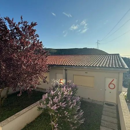 Camino De Rabe Rabé de las Calzadas