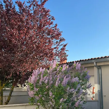 아파트호텔 Camino De Rabe 2*