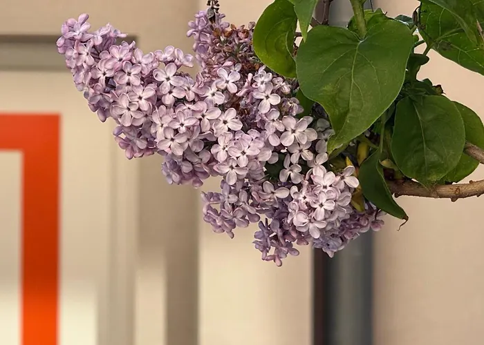 Camino De Rabe 2* Rabé de las Calzadas